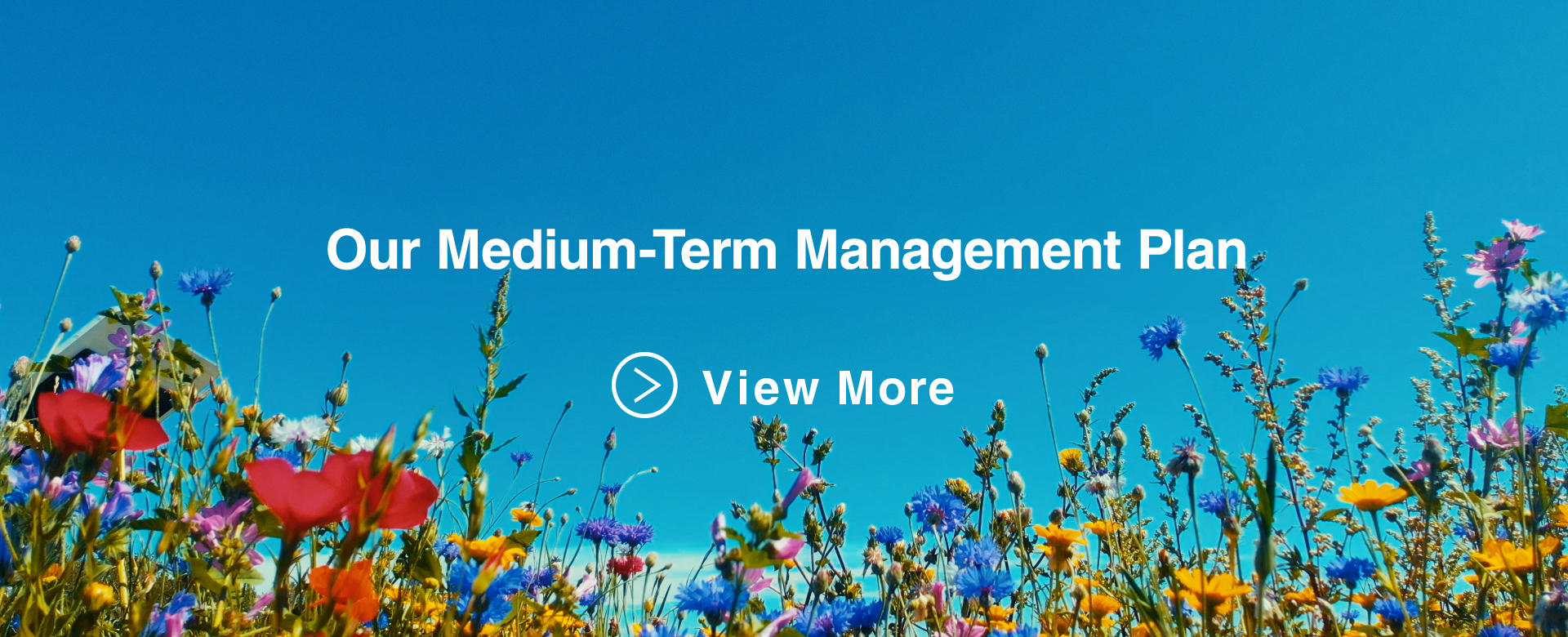 Our Medium-Term Management Plan