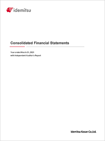 Consolidated Financial Statements with Independent Auditor’s Report