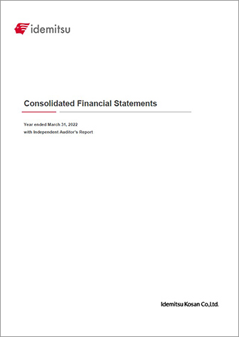Consolidated Financial Statements with Independent Auditor’s Report