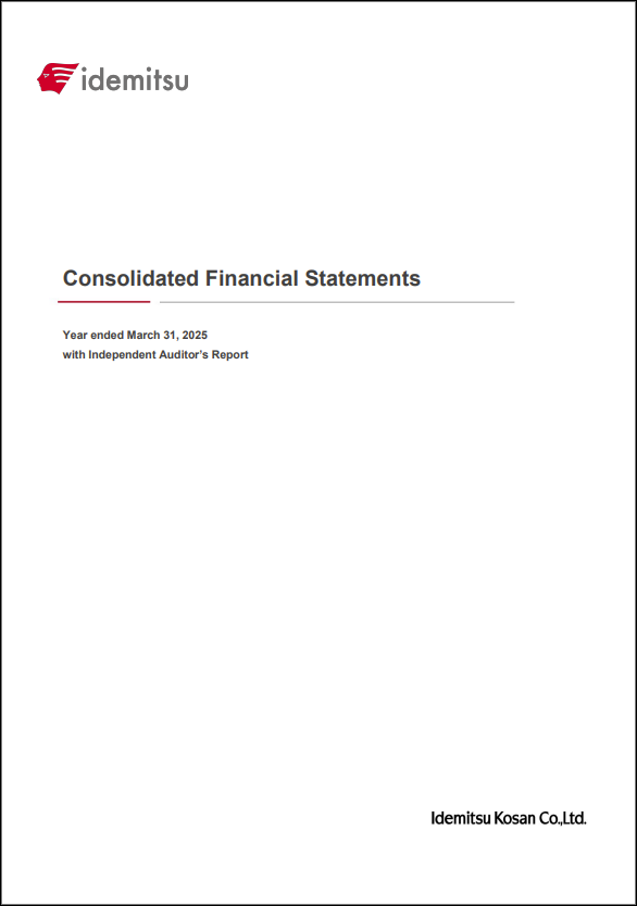 Consolidated Financial Statements with Independent Auditor's Report