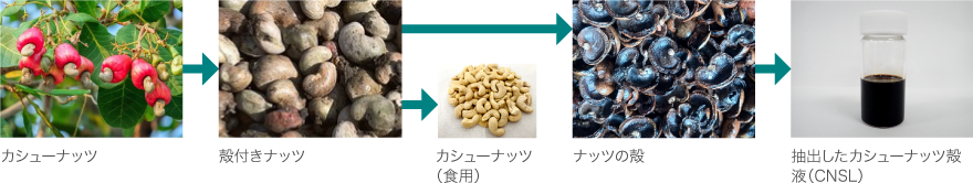 カシューナッツ殻液