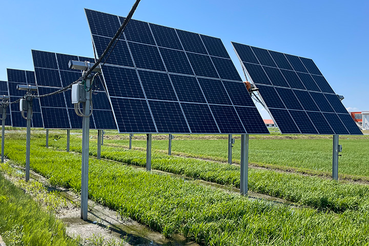営農型太陽光発電