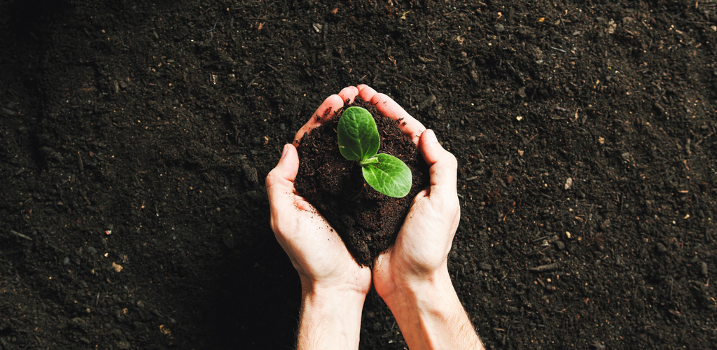 ビジネスサポート事業