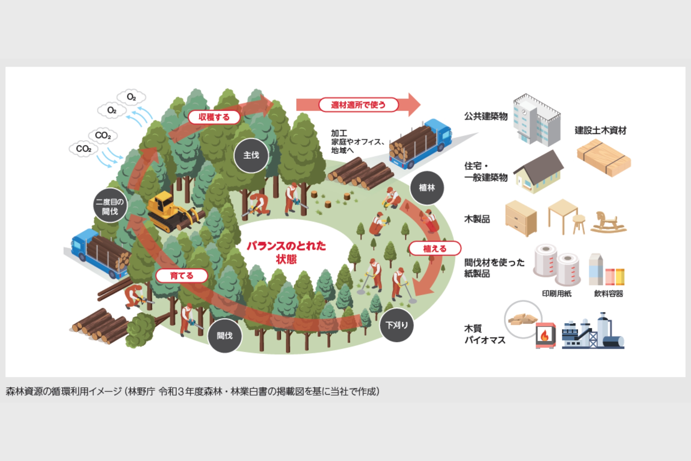 A system that promotes forest circulation through the use of domestic timber