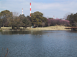 Shinji Pond