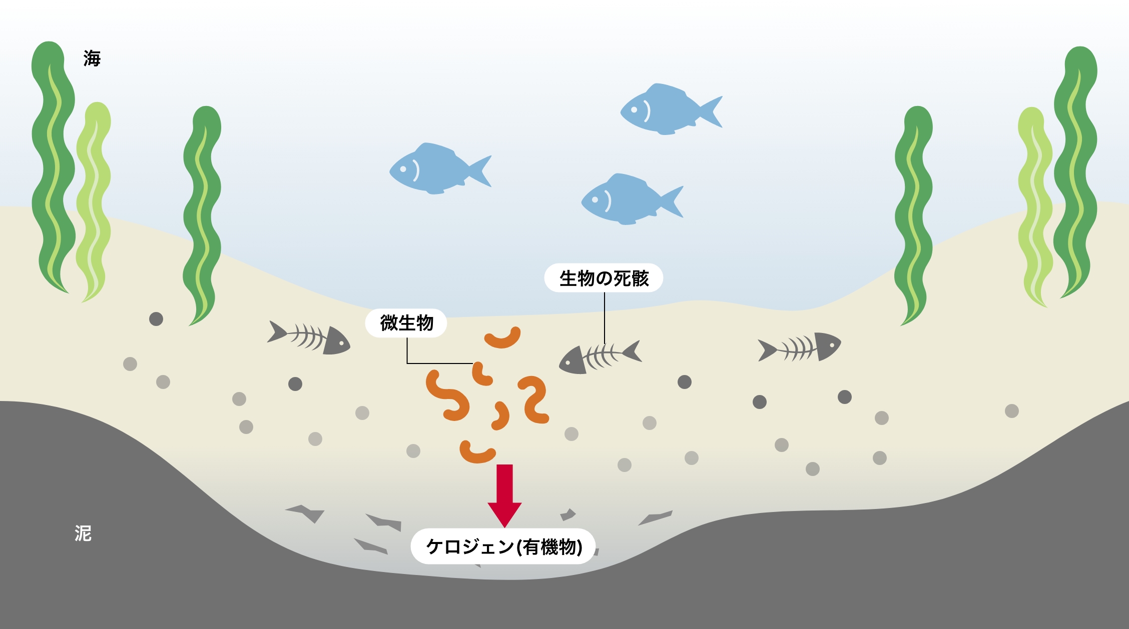 大昔の生物が有機物へ変化