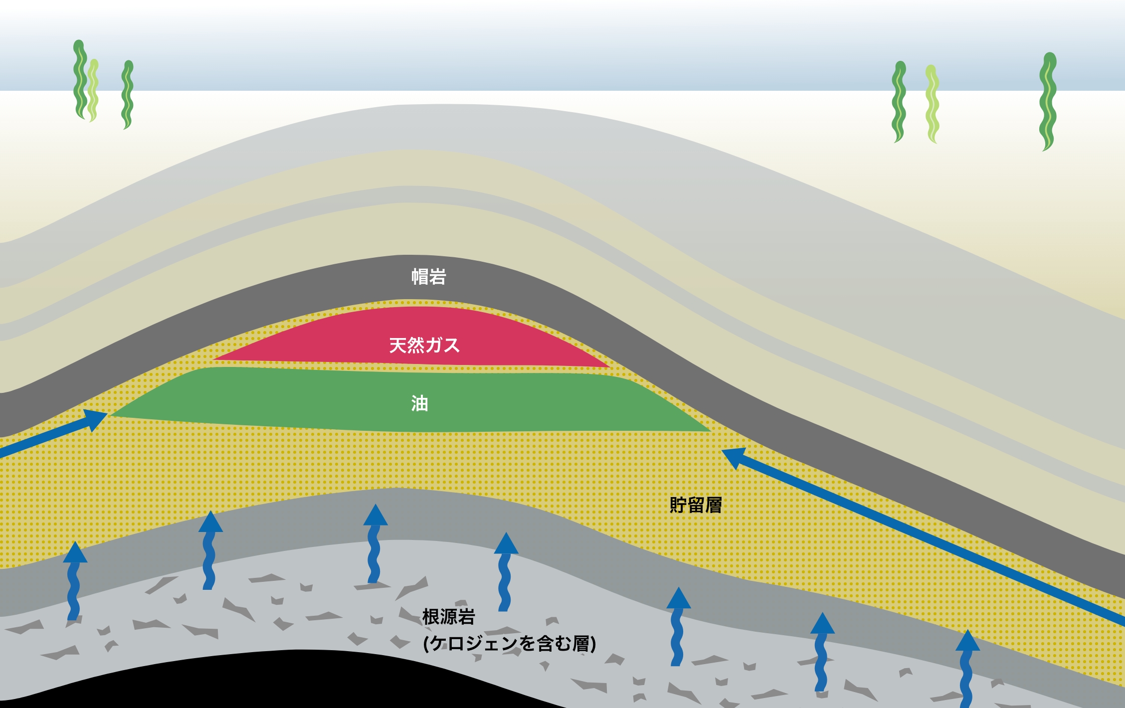 Formation of oil and gas fields