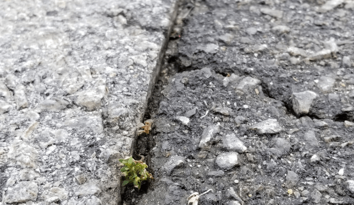 deteriorated asphalt pavement