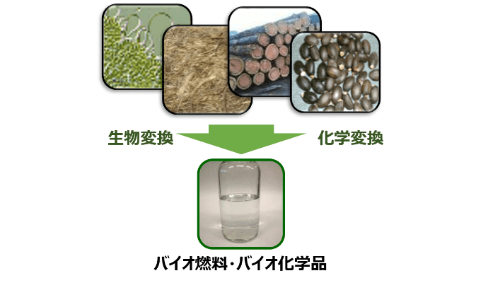 Diagram of biomass utilization