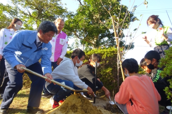 Planting cherry blossoms, the representative tree of Japan