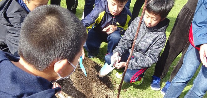 “Grow big! Cherry blossom tree!”