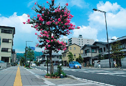 福田 尚人○