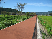 岐阜県山県市鳥羽川サイクリングロード