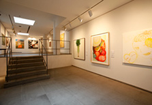 シェル美術賞展2009