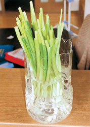 10 ジュニア部門 入賞作品 入賞作品 出光興産