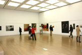 展覧会場の様子(SAS展示)