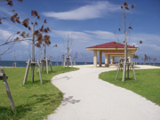 沖縄豊崎海浜公園
