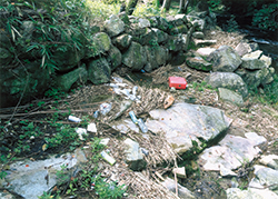 石橋　玲音×