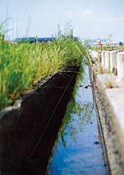 池田　拓磨○