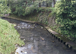 吉原　実里×