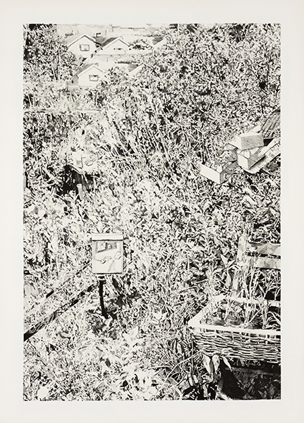 入選 芦川 瑞季作品