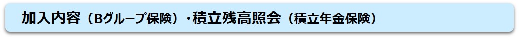 加入内容（Bグループ保険）・積立残高照会（積立年金保険）