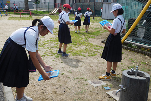 熊本市立田迎南小学校2