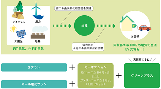 グリーンプラス