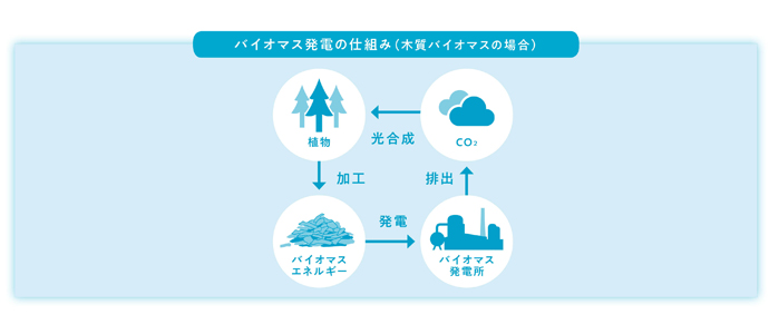 バイオマスとは