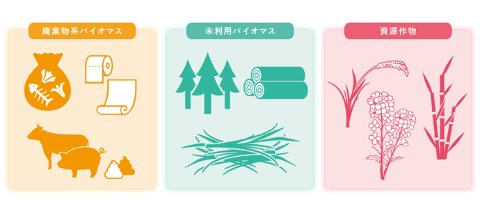 バイオマスの種類