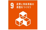 SDGs9