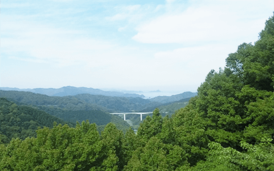 初夏におすすめ！爽やかスポット