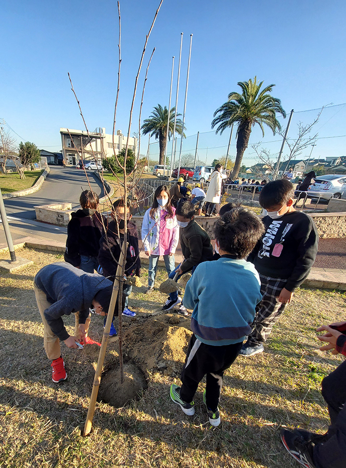 Tree planting ceremony