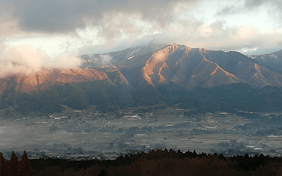 春を先取り！おすすめスポット