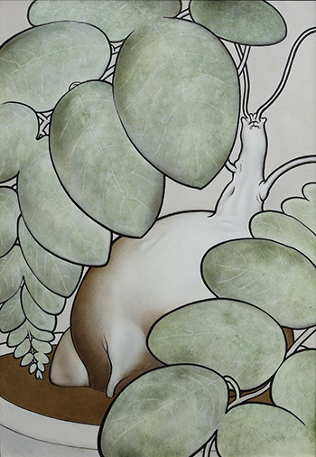 宮山 亮太「phyllanthus mirabilis」
