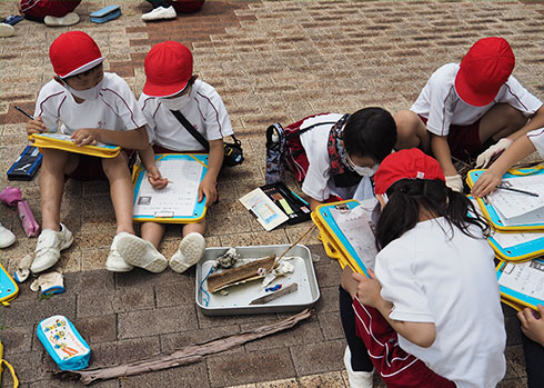 私立智辯学園和歌山小学校