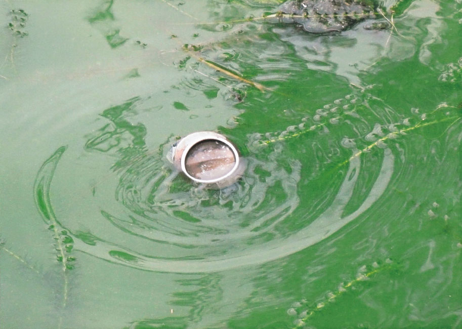 たくさんの生き物を守るために