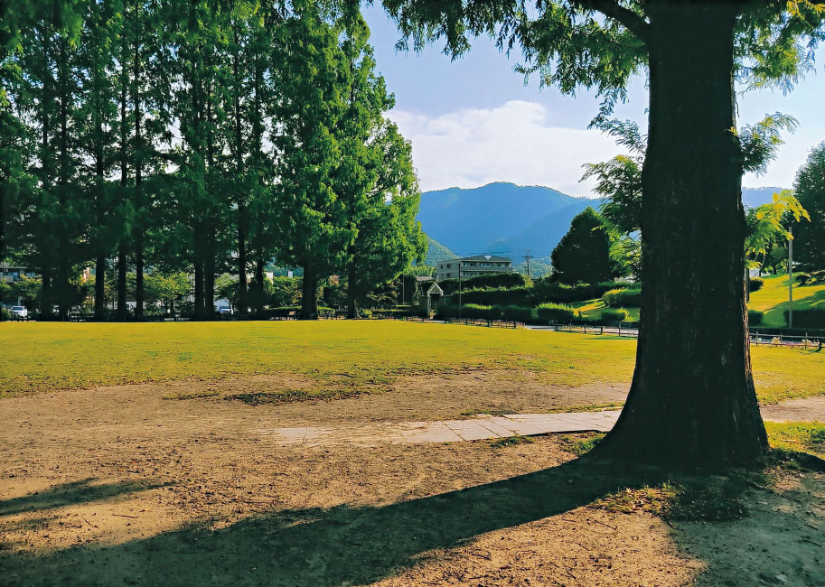 きれいな公園。よく見てみると…