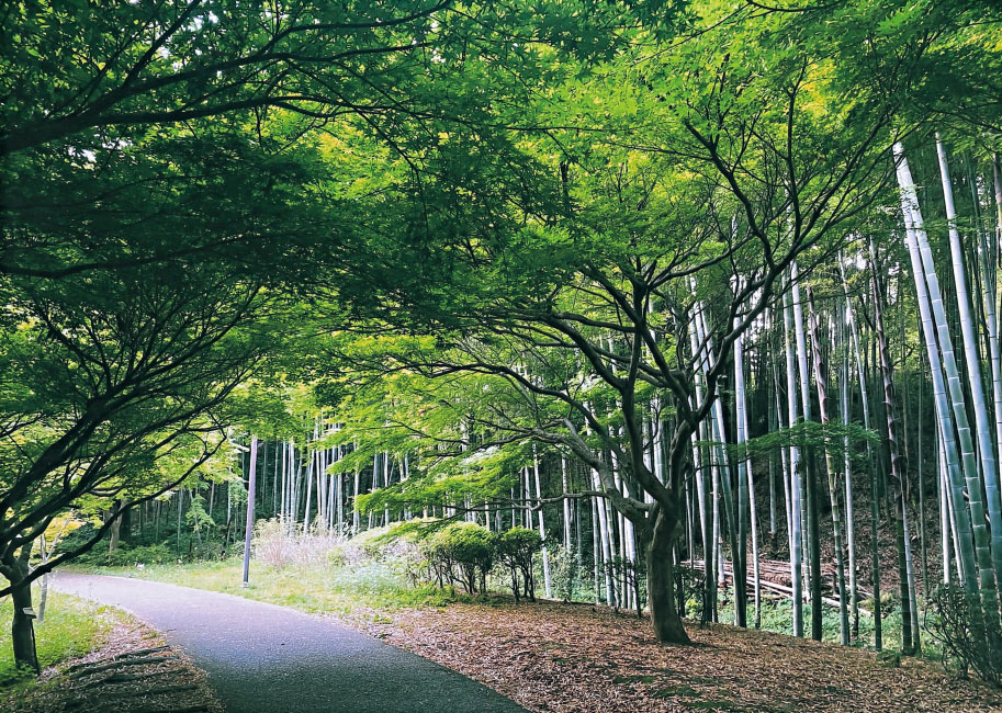 自然と人が生んだトンネル