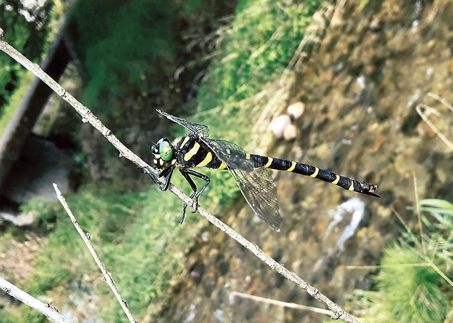 ちょっと休けい