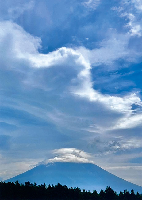 自然の山と街の山