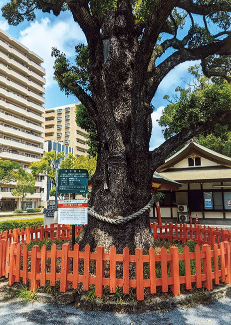 何が違うのか