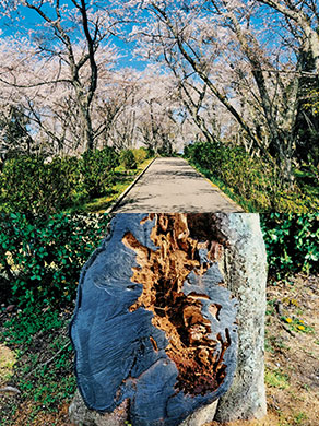 紫雲出山の陰と陽