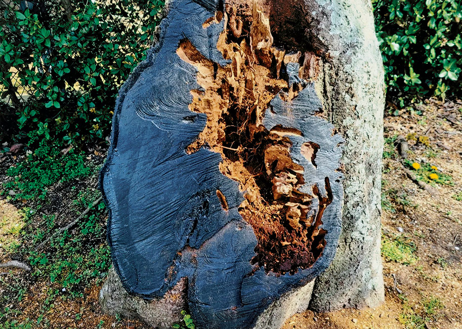 紫雲出山の陰と陽