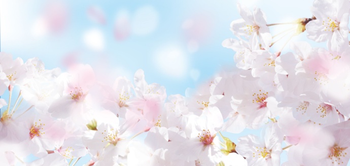 社員インタビュー