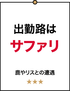 出勤路はサファリ 鹿やリスとの遭遇 ★★★