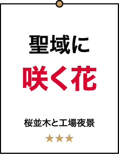 聖域に咲く花 桜並木と工場夜景 ★★★