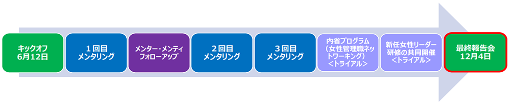 2023年度クロスメンタリングプログラム 実施概要