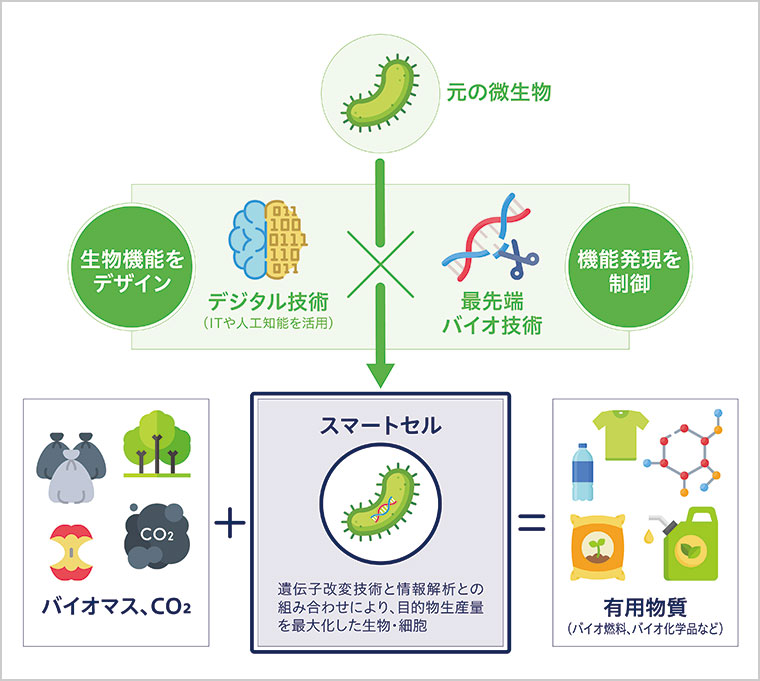 スマートセルを活用した有用物資の製造