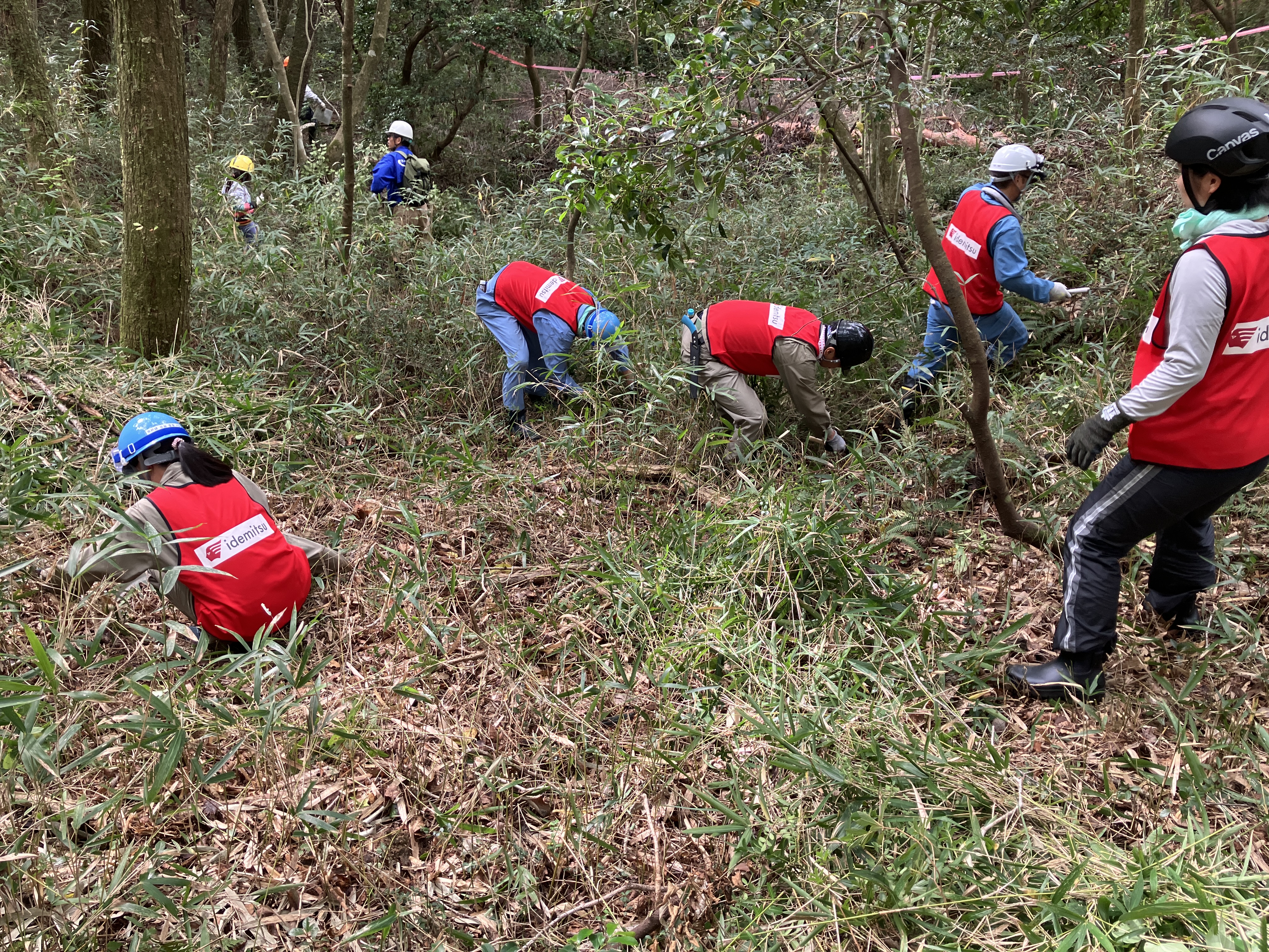 Participants in “Crane roost creation”